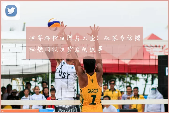 世界杯押注图片大全:独家专访揭秘热门投注背后的故事