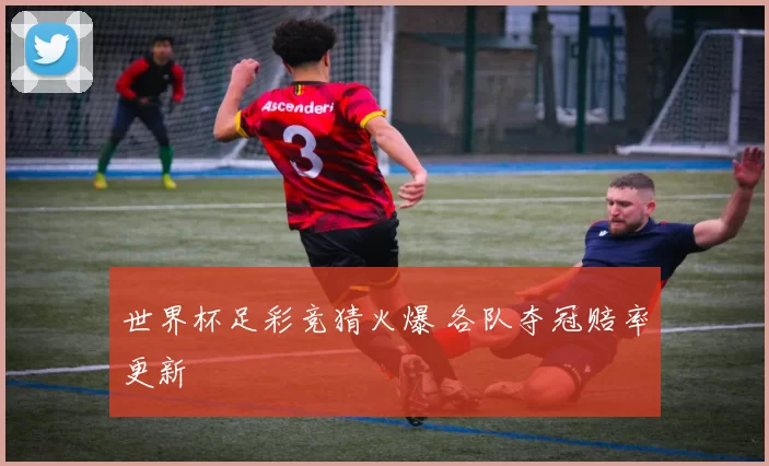 世界杯足彩竞猜火爆 各队夺冠赔率更新