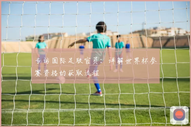 专访国际足联官员：详解世界杯参赛资格的获取流程