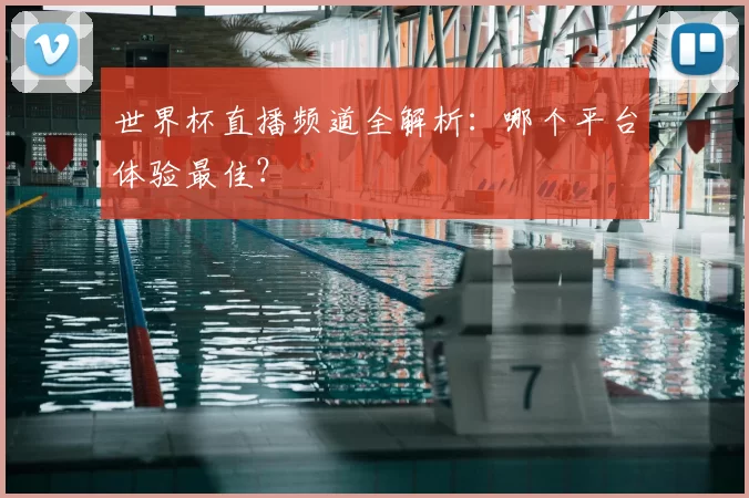 世界杯直播频道全解析:哪个平台体验最佳?