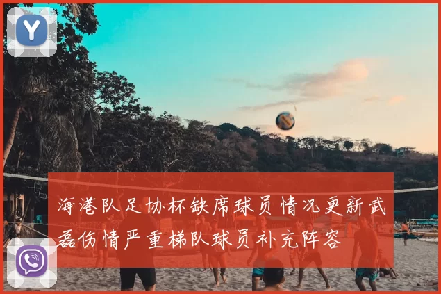 海港队足协杯缺席球员情况更新武磊伤情严重梯队球员补充阵容