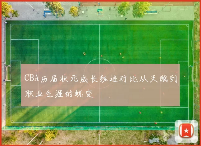 CBA历届状元成长轨迹对比从天赋到职业生涯的蜕变