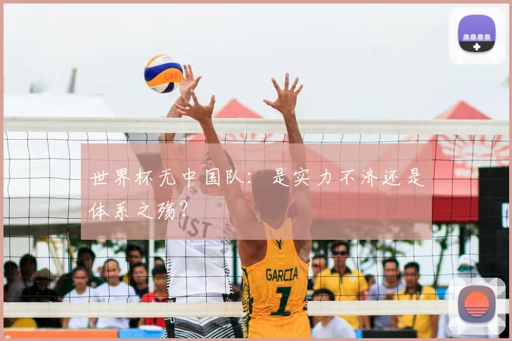 世界杯无中国队:是实力不济还是体系之殇?