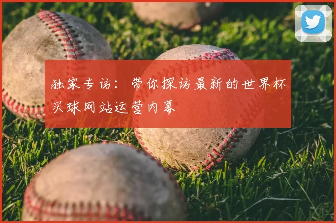 独家专访:带你探访最新的世界杯买球网站运营内幕
