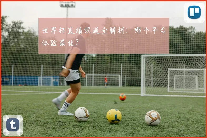 世界杯直播频道全解析:哪个平台体验最佳?