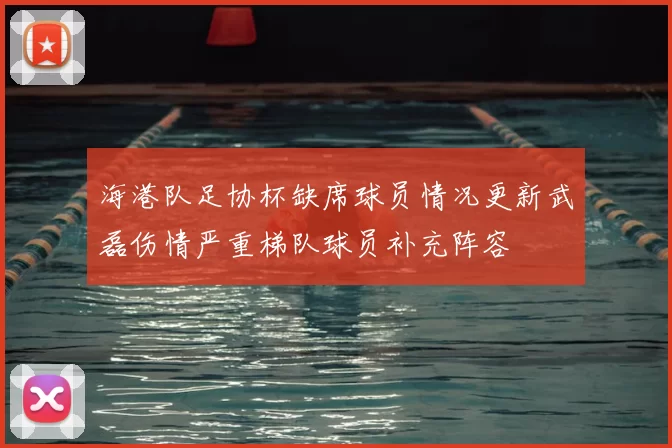 海港队足协杯缺席球员情况更新武磊伤情严重梯队球员补充阵容